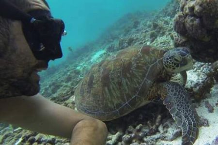 Beach & Snorkeling à Marie-Galante….