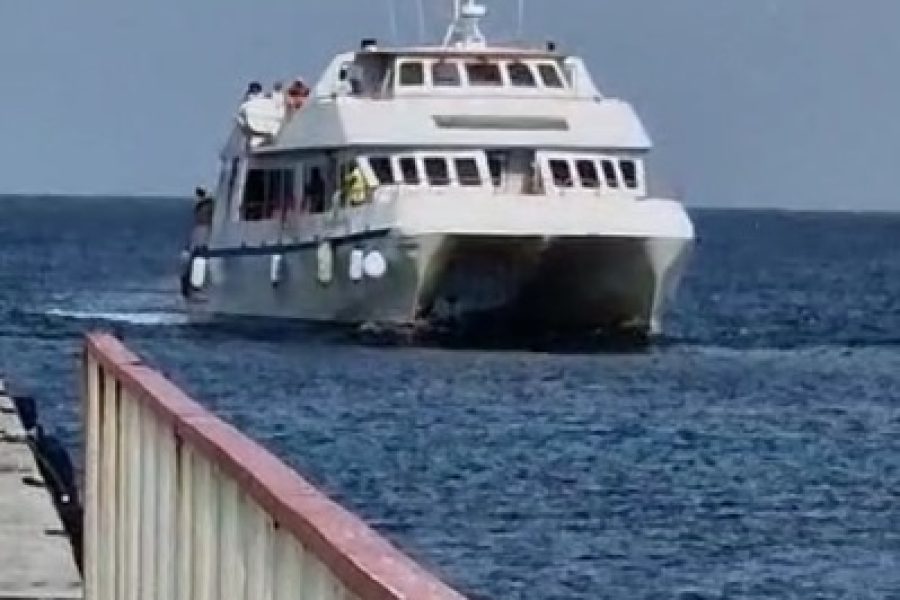 Aller et Retour JOURNÉE | Saint-François vers Les Saintes, Terre-de-Haut