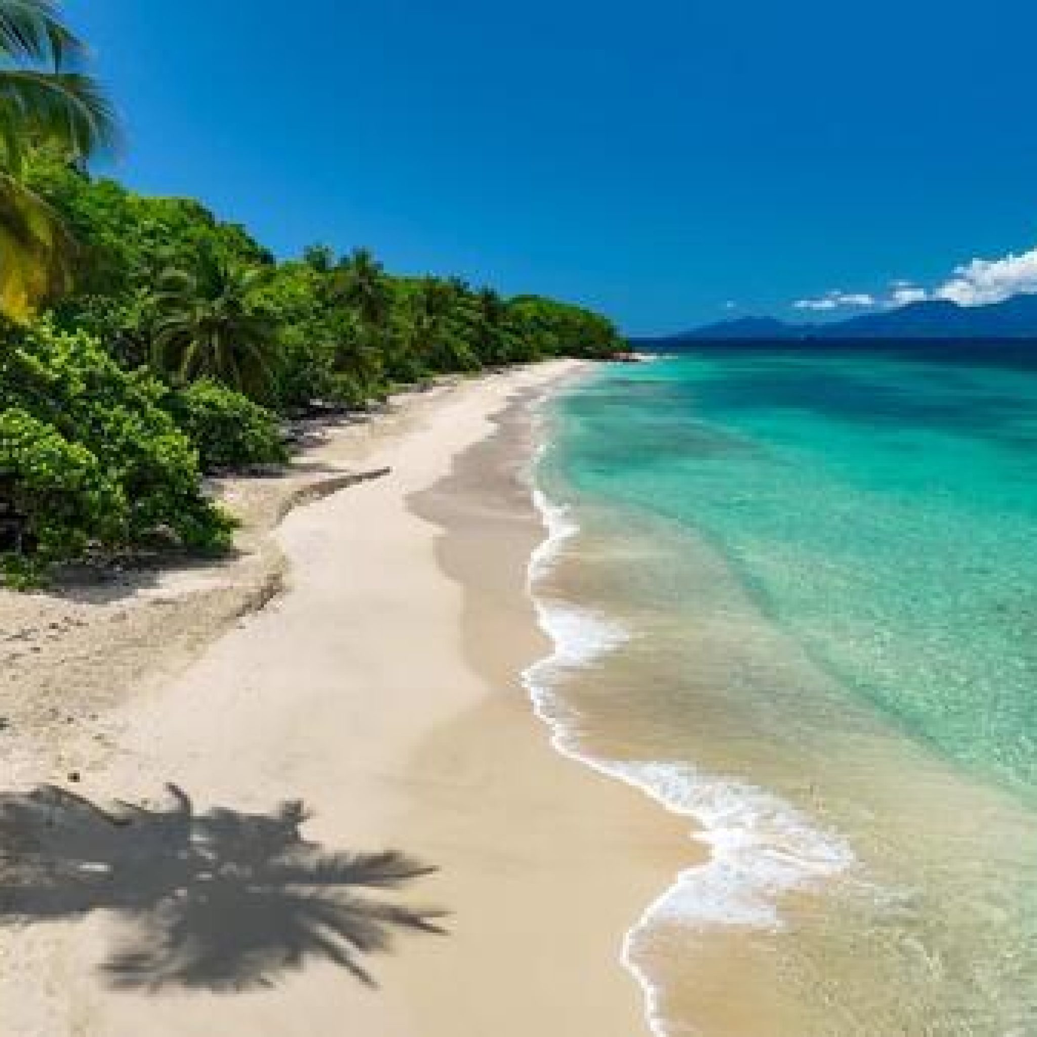 Plage de l'anse de mays