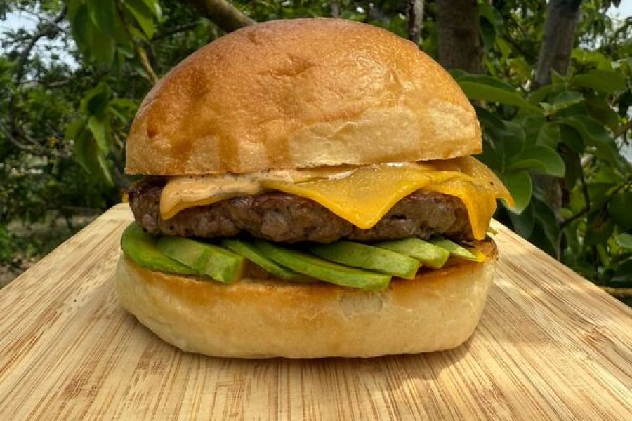 Livraison HAMBURGER – Fried CHICKEN – WRAPS